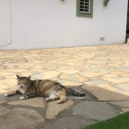 بيت للعطل Mikaela House Marbella Malaga إِستيبونا