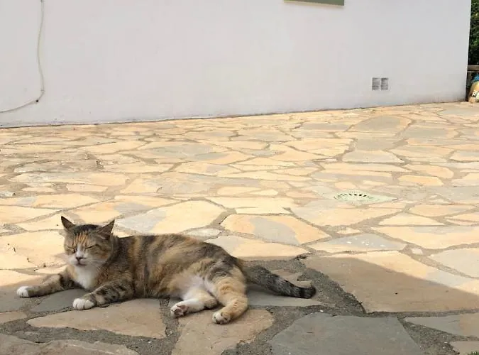 بيت للعطل Mikaela House Marbella Malaga إِستيبونا